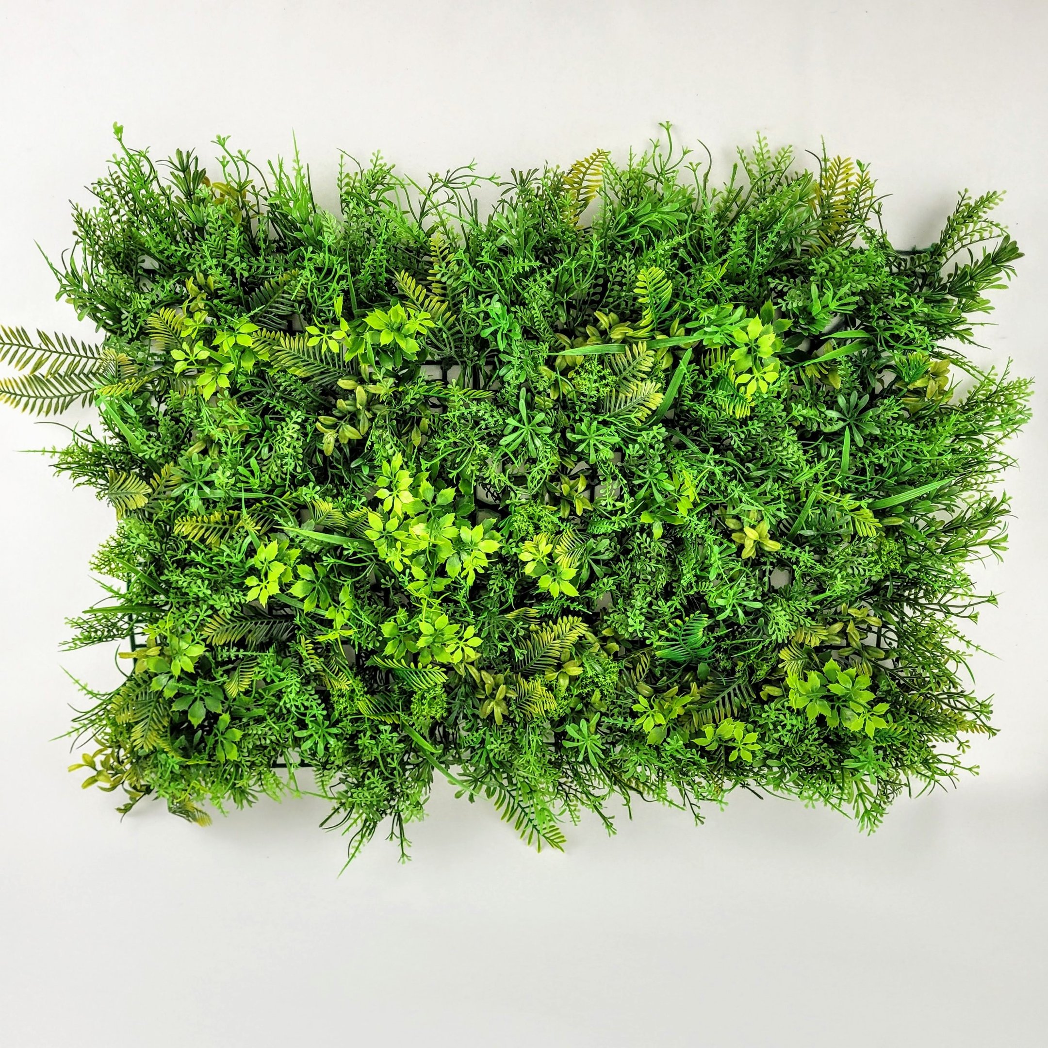 Placa De Grama Samambaia Mista 60x40cm Planta Artificial - 5