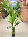 Ver mais imagens de Bananeira Artificial para Decoração Sala Planta Realista 1.20m
