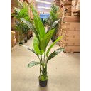 Ver imagem 2 de Bananeira Artificial para Decoração Sala Planta Realista 1.20m