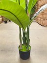 Ver imagem 5 de Bananeira Artificial para Decoração Sala Planta Realista 1.20m