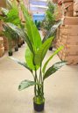 Ver imagem 7 de Bananeira Artificial para Decoração Sala Planta Realista 1.20m