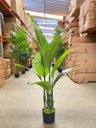 Ver imagem 4 de Bananeira Artificial para Decoração Sala Planta Realista 1.20m