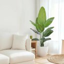Ver imagem 1 de Bananeira Artificial para Decoração Sala Planta Realista 1.20m