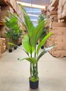 Ver imagem 6 de Bananeira Artificial para Decoração Sala Planta Realista 1.20m