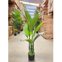 Ver imagem 6 de Bananeira Artificial para Decoração Sala Planta Realista 1.20m