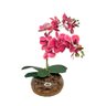 Arranjo 2 Orquídeas Artificiais Coral em Vaso Incolor - 1