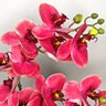 Arranjo 2 Orquídeas Artificiais Coral em Vaso Incolor - 3