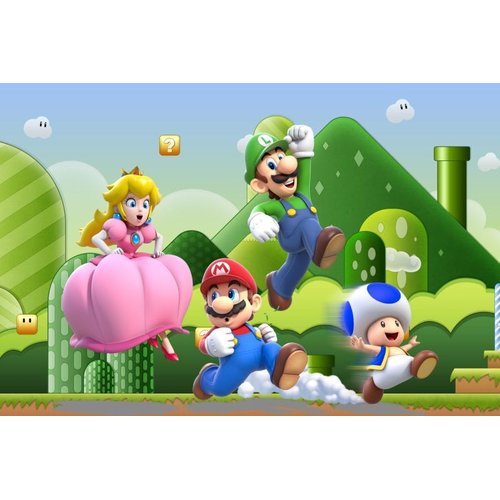 Carteira Slim Jogo Super Mario e Luigi - Frete Grátis