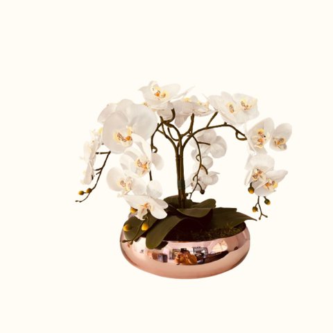 Arranjo De 6 Orquídeas Artificiais Brancas No Vaso