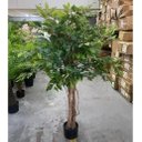 Ver imagem 3 de Árvore Artificial Fícus para Decoração Planta Grande 150cm