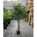 Ver imagem 2 de Árvore Artificial Fícus para Decoração Planta Grande 150cm