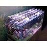 Luminária led ecoaqua daylight aquario arcadia - 3