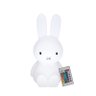 Luminária Miffy LED RGB sem Fio - 1