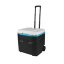 Ver imagem 1 de Caixa Térmica Cooler Profile Roller 51 Litros