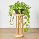 Ver imagem 2 de Mesa Lateral Flórida