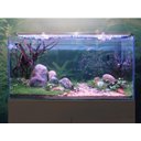 Ver imagem 3 de Luminária led eco aqua moonlight aquário arcadia