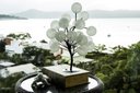 Ver imagem 1 de Árvore luminária LED bonsai abajur 24 bolinhas Bivolt
