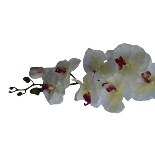 Orquidea artificial De silicone em Toque Real Branca e Rosa | MadeiraMadeira