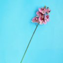 Ver imagem 2 de Flores Artificiais Haste de Orquídea 3d Rosa