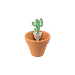 Mini Horta Cactos Kathavento - 2