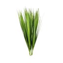 Ver imagem 1 de Kit 10 Capim Verde Planta Artificial Realista Buque Folhagem