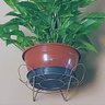 Suporte de Parede Margarida Pequeno (25cm) Dourado Nutriplan - 6
