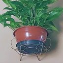 Ver imagem 6 de Suporte de Parede Margarida Pequeno (25cm) Dourado Nutriplan