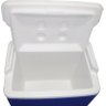 Caixa Térmica Cooler 15 Litros 16 QT Igloo - 3