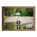 Ver imagem 3 de Kit 4 Molduras Porta Diploma Certificado A4 21x30 Dourado