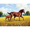 Primeira Corrida - Sarnoff - Tela 50x66 Para Quadro - 1