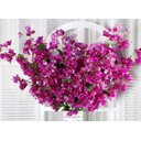 Ver imagem 4 de Kit 10 Galhos Flores Bouganville 76cm Roxo Artificiais