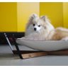 Cama para Cães e Gatos - Estampa Jornal ( Tamanho P ) - 2