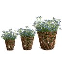 Ver imagem 1 de 3 Hastes Mosquitinho Artificial Azul 60cm Flor Decorativa para Arranjos e Vasos