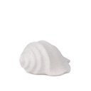 Ver imagem 2 de Escultura Decorativa Concha em Cerâmica Branca 19,5cm 22477 Mart