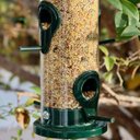 Ver imagem 7 de Comedouro para Pássaros Livres Top Garden