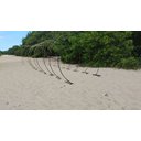 Ver imagem 4 de Kit 2 Arco Portal para Decoração de Lojas , Estrutura para Decorar Jardim e Eventos