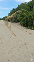 Ver imagem 2 de Kit 2 Arco Portal Castacristal para Decoração Natural de Lojas, Jardim e Eventos