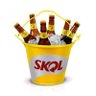 Balde de Gelo Garrafas de Cerveja Skol - 1