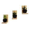 Kit 3 Mini Prateleiras de para em Madeira Pinus - 2