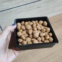 Ver imagem 2 de Travessa Pequena Petisqueira Quadrada Plástica 230ml Potinho Para Petisco Preto Coza