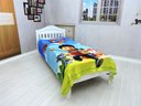 Ver imagem 1 de Manta Cobertor Menino Infantil Solteiro Ultra Soft , Macia, Quentinha