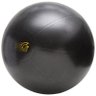 Bola de Exercícios 65cm Pretorian e Disco de Equilíbrio - 2