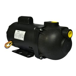Bomba Autoaspirante 2CV Dancor AP-3C monofásica bivolt - 1