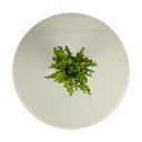 Ver imagem 3 de Mesa de Centro Bella para Sala com Vidro 60 cm - Off white