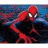 Kit Festa Painel Toalha Tapete em Lona Homem Aranha - 2