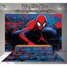 Kit Festa Painel Toalha Tapete em Lona Homem Aranha - 1