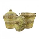 Ver imagem 3 de Cj 2 Cesto Decorativo com Tampa David Jungle