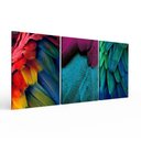 Ver imagem 2 de Kit 3 Quadros Retangulares - Penas, Folhas e Cores