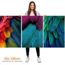 Ver imagem 3 de Kit 3 Quadros Retangulares - Penas, Folhas e Cores