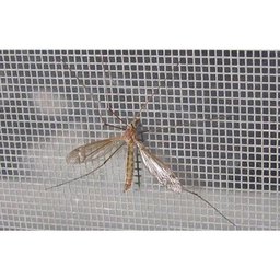 Tela Mosquiteira Anti Inseto em Polietileno 1,50 x 9,00 metros - Branco - 5